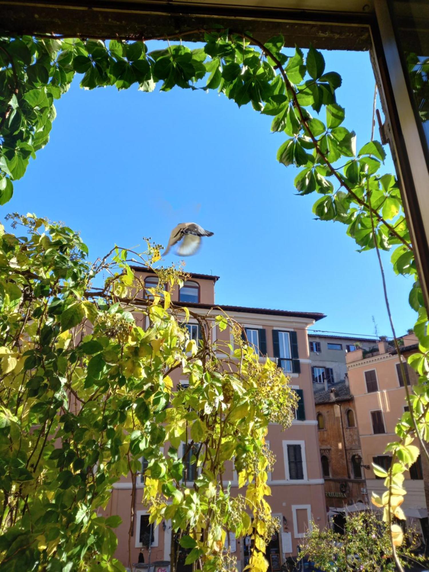 רומא Central Apartment In Trastevere חדר תמונה